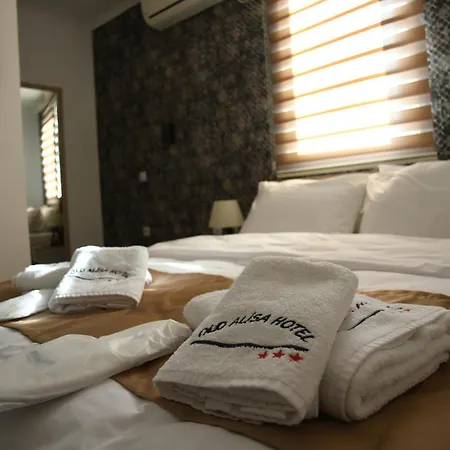 Old Alisa Hotel