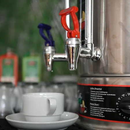 Hotel Old Alisa Skopje