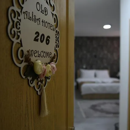 Hotel Old Alisa 3*