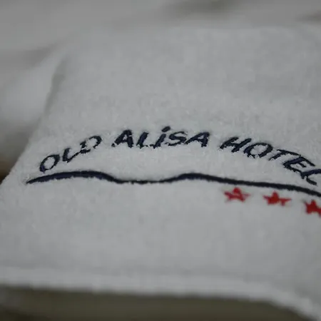 Old Alisa 호텔 4*