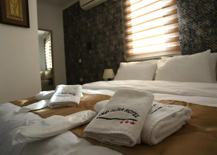 Old Alisa Hotel