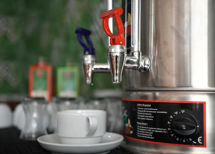 Hotel Old Alisa Skopje